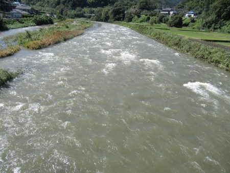 狩野川(狩野川漁業協同組合) 釣果