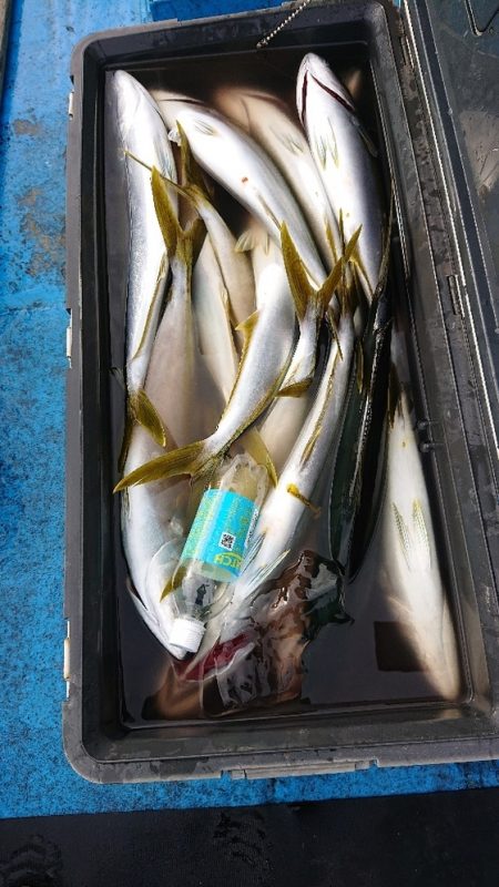 龍神丸（福井） 釣果