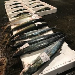 寿裕 （YOSHIHIRO） 釣果