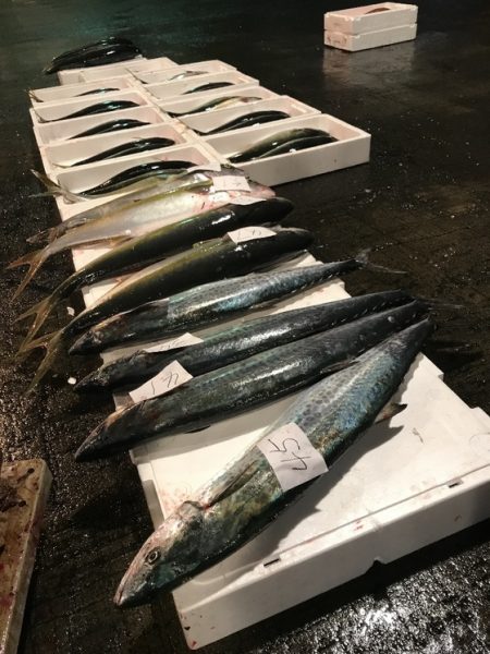 寿裕 （YOSHIHIRO） 釣果