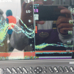 遊漁船ブルーウッズ 釣果