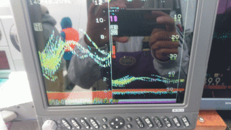 遊漁船ブルーウッズ 釣果