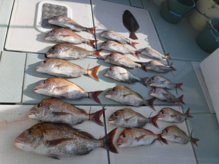 遊漁船 幸友丸 釣果