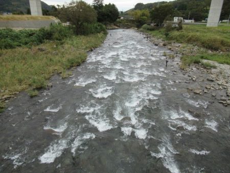 狩野川(狩野川漁業協同組合) 釣果
