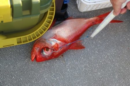 へいみつ丸 釣果