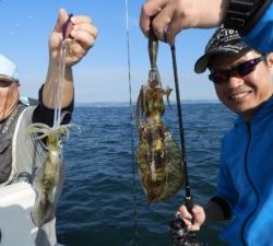 Fisherman Dreams DI 釣果