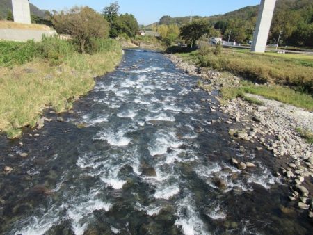 狩野川(狩野川漁業協同組合) 釣果