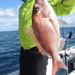 遊漁船ブルーウッズ 釣果