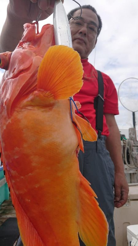 伊豆下田フィッシング 釣果