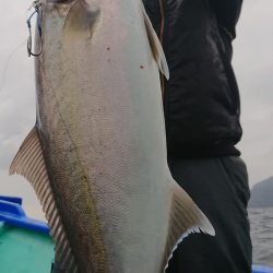 伊豆下田フィッシング 釣果