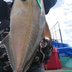 伊豆下田フィッシング 釣果