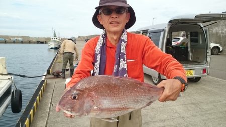 大進丸(新潟) 釣果