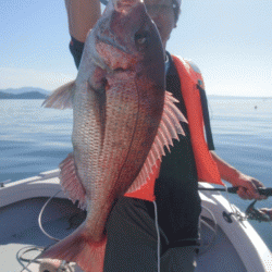 遊漁船ブルーウッズ 釣果