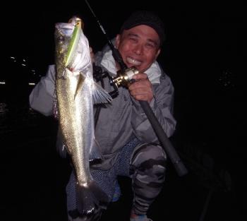 シーマジカル 釣果