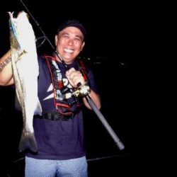 シーマジカル 釣果