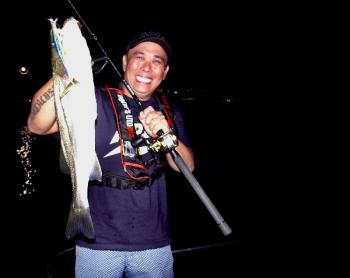 シーマジカル 釣果