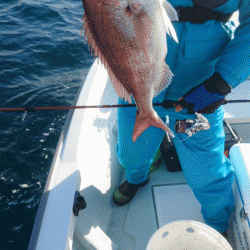 遊漁船ブルーウッズ 釣果
