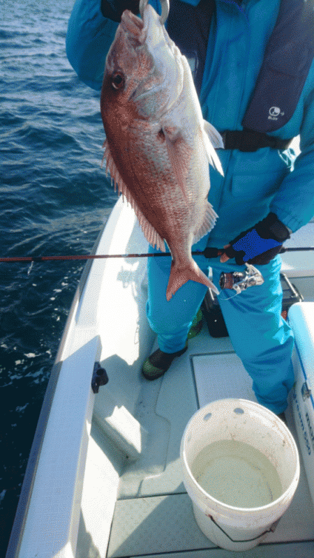 遊漁船ブルーウッズ 釣果