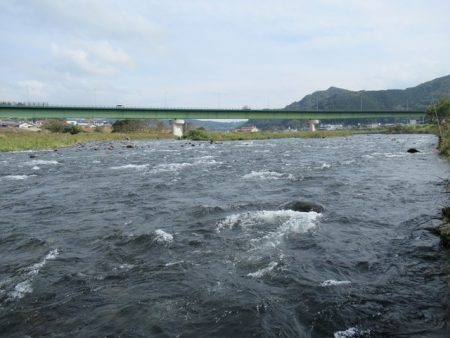 狩野川（狩野川漁業協同組合） 釣果