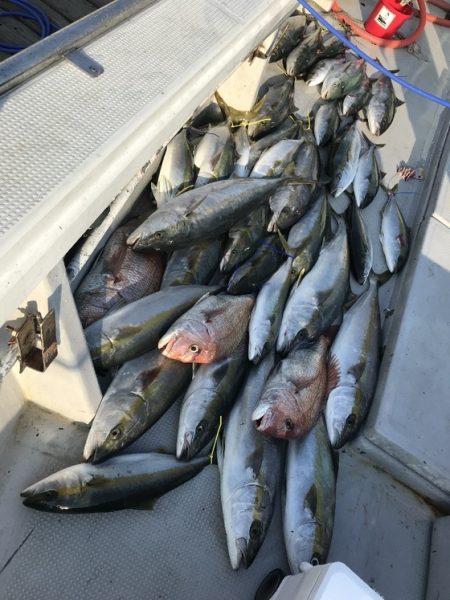 寿裕 （YOSHIHIRO） 釣果