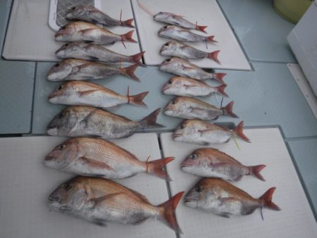 遊漁船 幸友丸 釣果