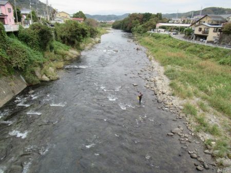 狩野川(狩野川漁業協同組合) 釣果