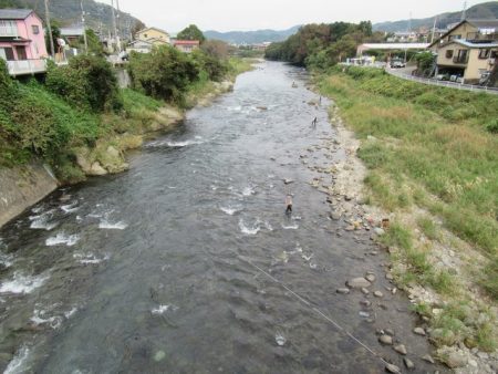 狩野川（狩野川漁業協同組合） 釣果