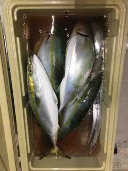 龍宮丸 釣果