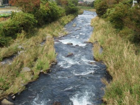 狩野川(狩野川漁業協同組合) 釣果