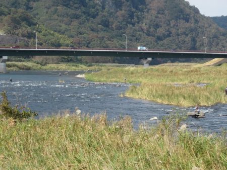 狩野川(狩野川漁業協同組合) 釣果
