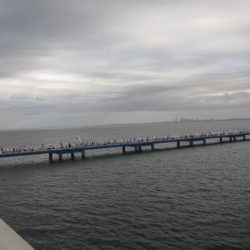 オリジナルメーカー海づり公園(市原市海づり施設) 釣果