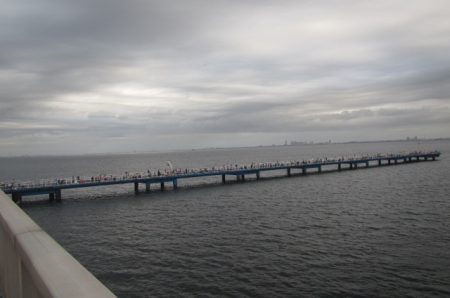 オリジナルメーカー海づり公園(市原市海づり施設) 釣果