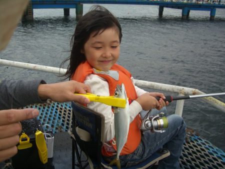 オリジナルメーカー海づり公園(市原市海づり施設) 釣果