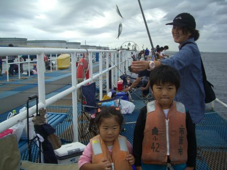 オリジナルメーカー海づり公園(市原市海づり施設) 釣果