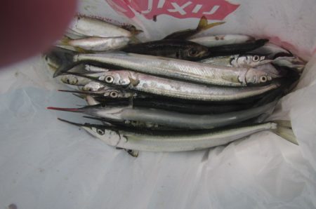 オリジナルメーカー海づり公園(市原市海づり…