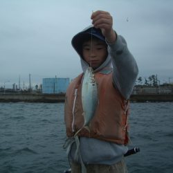 オリジナルメーカー海づり公園(市原市海づり施設) 釣果