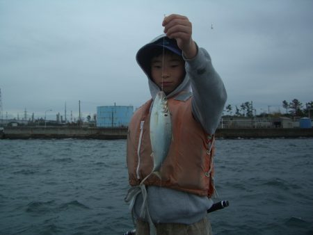 オリジナルメーカー海づり公園(市原市海づり施設) 釣果