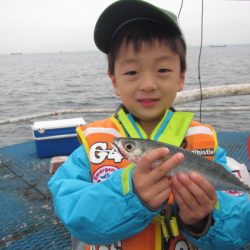 オリジナルメーカー海づり公園(市原市海づり施設) 釣果