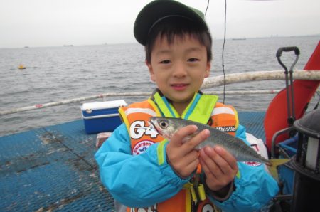 オリジナルメーカー海づり公園(市原市海づり施設) 釣果