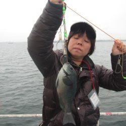 オリジナルメーカー海づり公園(市原市海づり施設) 釣果