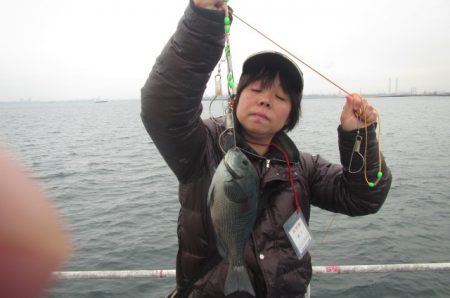 オリジナルメーカー海づり公園(市原市海づり施設) 釣果