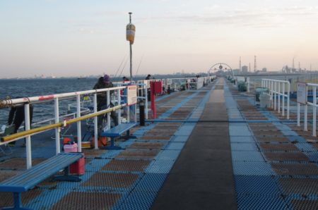 オリジナルメーカー海づり公園(市原市海づり施設) 釣果