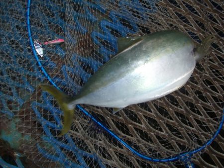 オリジナルメーカー海づり公園(市原市海づり…