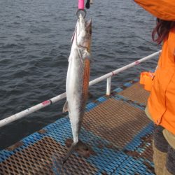 オリジナルメーカー海づり公園(市原市海づり施設) 釣果