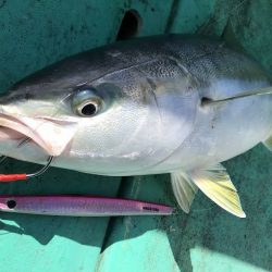 広進丸 釣果