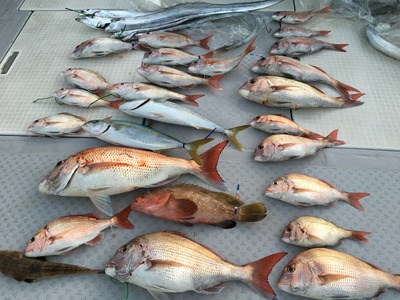 ミタチ丸 釣果