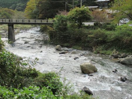 狩野川(狩野川漁業協同組合) 釣果