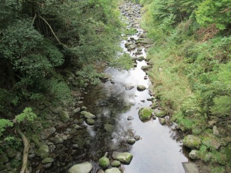 狩野川(狩野川漁業協同組合) 釣果