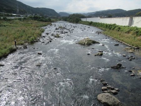 狩野川(狩野川漁業協同組合) 釣果