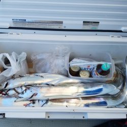 遊漁船 ニライカナイ 釣果